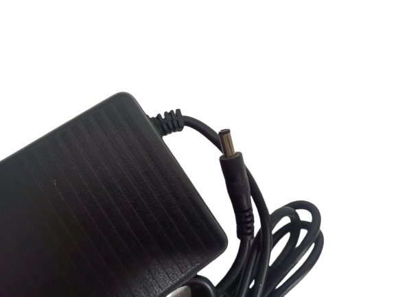 Lankeleisi Electric Bike Charger