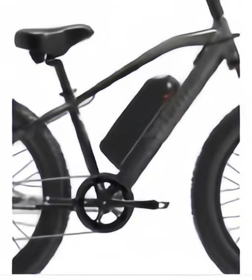 Lankeleisi Ebike HAILONG Lithium Battery(MG740 PLUS)