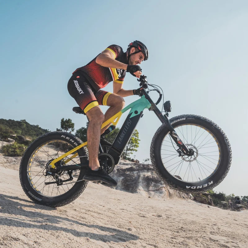 (EU Stock) LANKELEISI RV800PLUS Fat Tire Electric Bike 750W Brushless Motor 48V 20Ah Samsung Cell Battery 26*4.0 Off Road E-Bike Hydraulic Brake