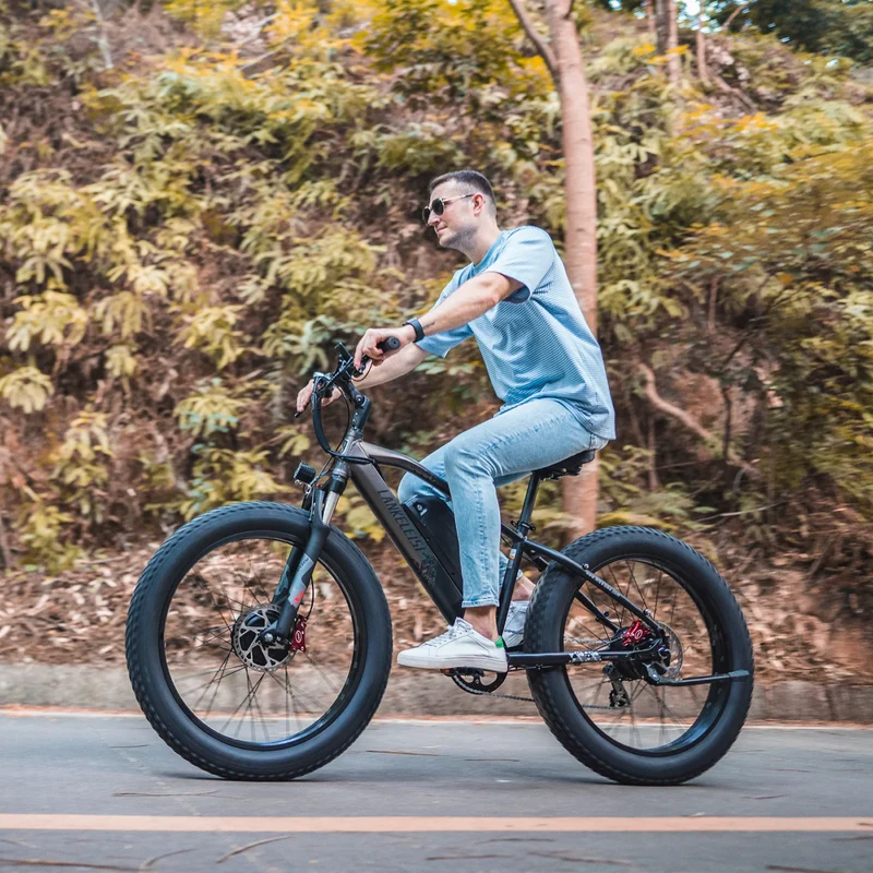 (EU Stock) LANKELEISI MG740PLUS Off-Road Ebike 2000W Brushless Motor 48V 20Ah Samsung Battery 26*4.0 Fat Tire Hydraulic Brake Electric Bike