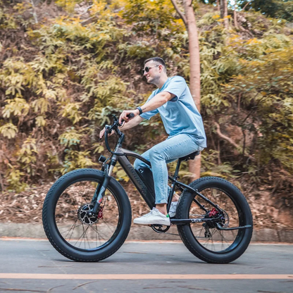 (EU Stock) LANKELEISI MG740PLUS Off-Road Ebike 2000W Brushless Motor 48V 20Ah Samsung Battery 26*4.0 Fat Tire Hydraulic Brake Electric Bike
