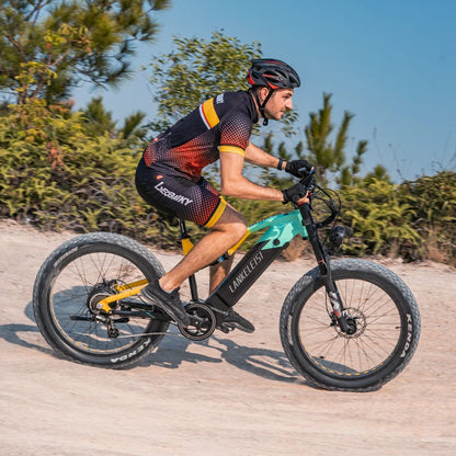 (EU Stock) LANKELEISI RV800PLUS Fat Tire Electric Bike 750W Brushless Motor 48V 20Ah Samsung Cell Battery 26*4.0 Off Road E-Bike Hydraulic Brake